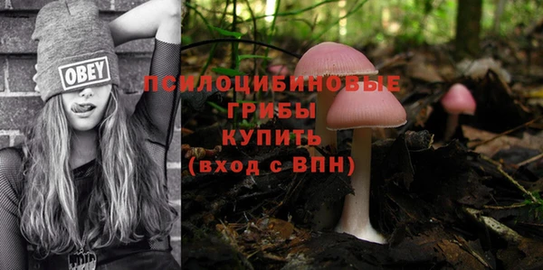 Альфа ПВП Алзамай