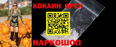 дмт Дубна