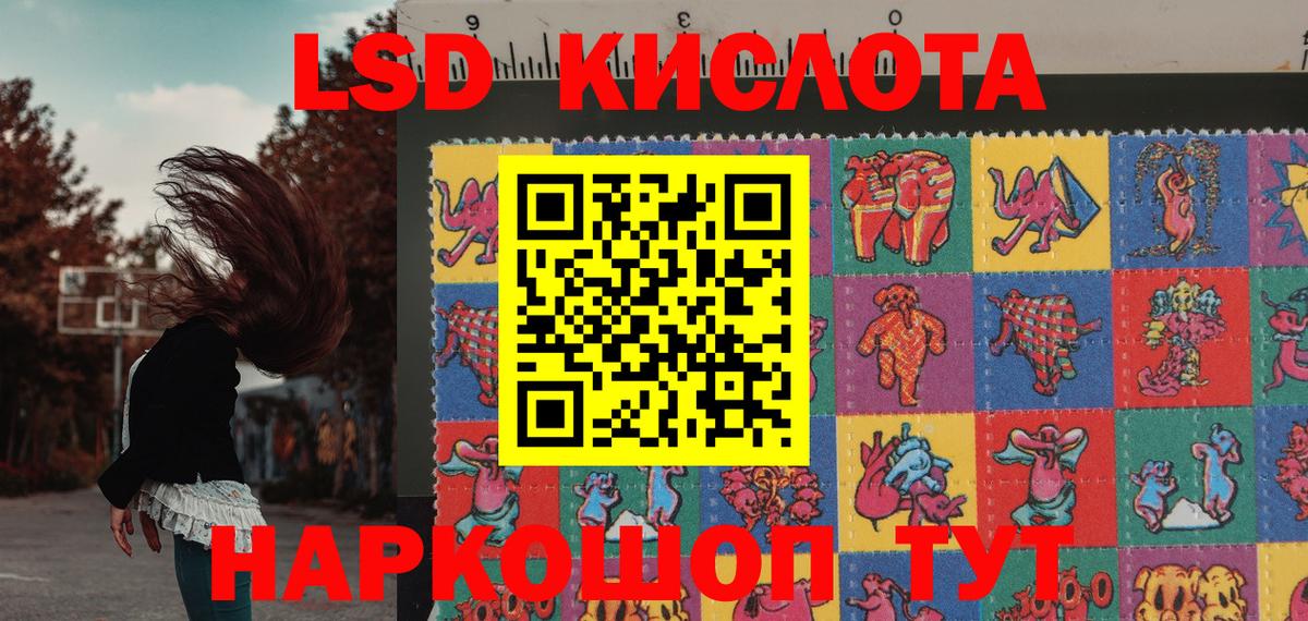 где можно купить   Наркотические марки 1,5мг  Вход с VPN  Михайловск  Наркотические марки 1,5мг 