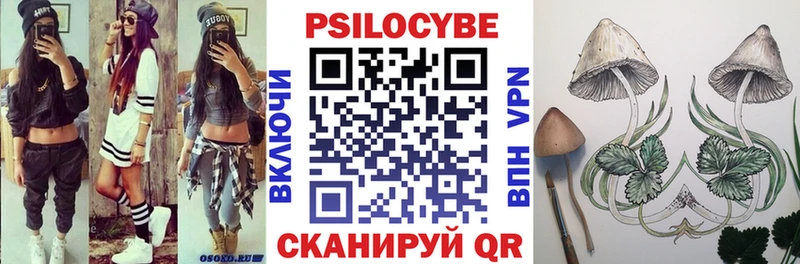 закладки  Михайловск  Галлюциногенные грибы мицелий 