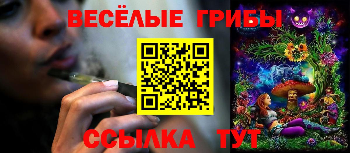 Галлюциногенные грибы ЛСД  Вход с VPN  даркнет сайт  Михайловск 